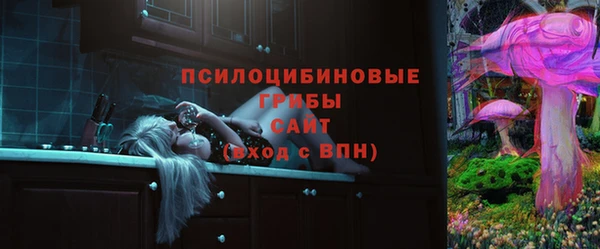 apvp Заводоуковск