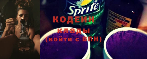 прущая мука Ельня