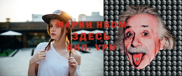 твердый Зеленодольск