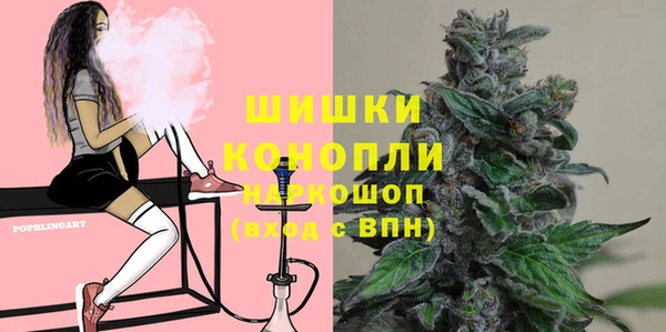 тгк Елизово