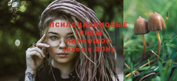 тгк Елизово