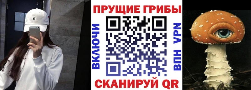 Купить  Ленск  Галлюциногенные грибы мицелий 